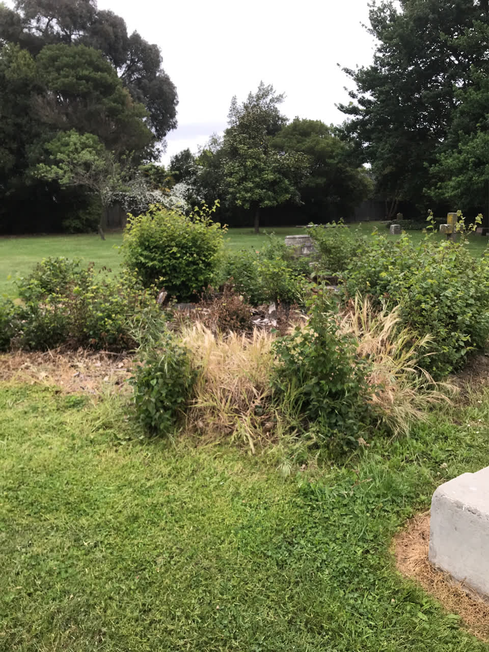 The photograph attached to this parks report