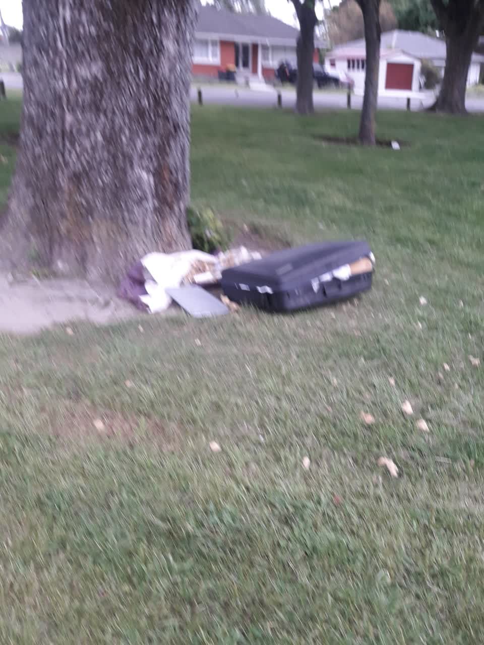 The photograph attached to this parks report