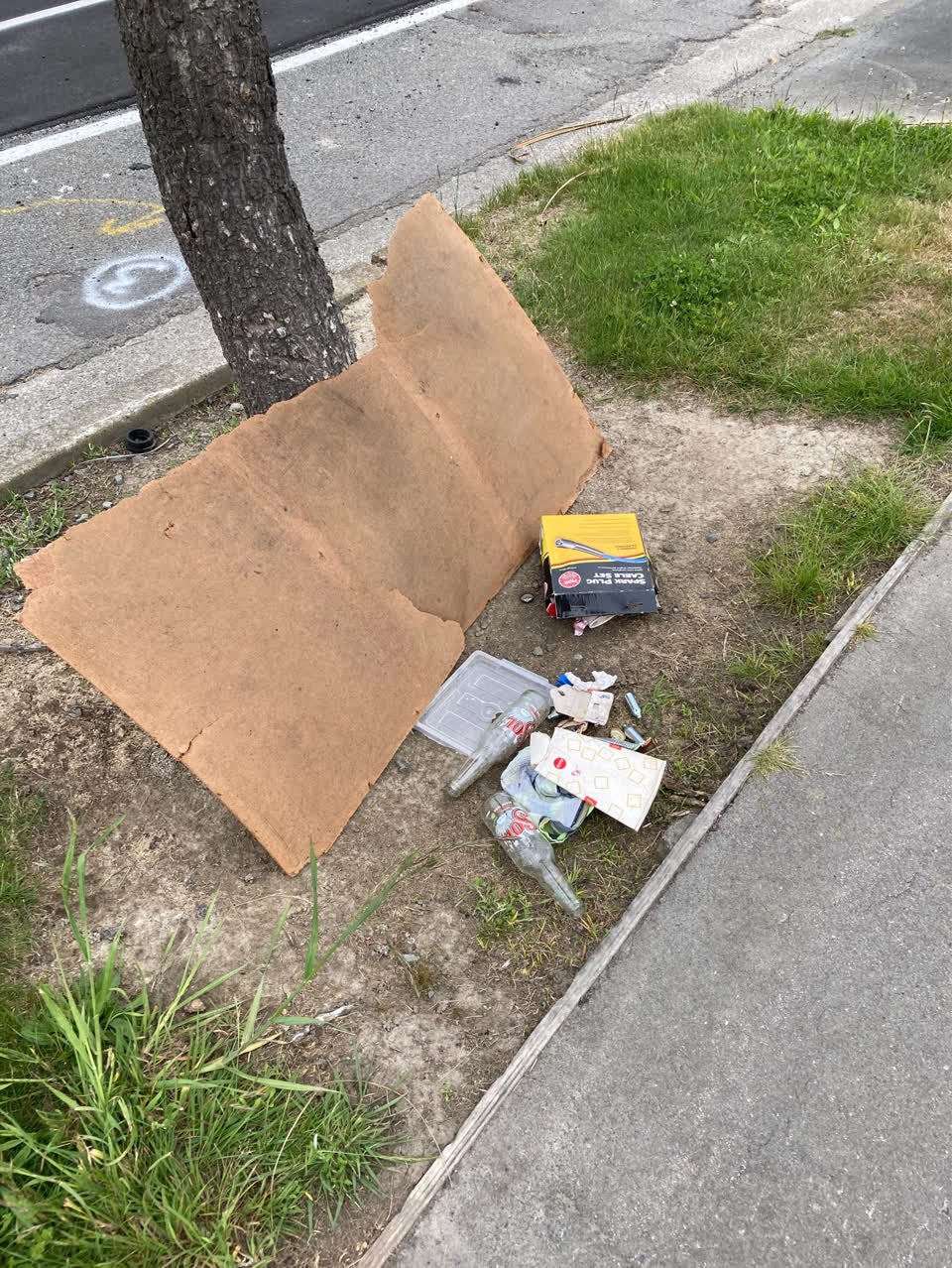 The photograph attached to this rubbish/recycling report