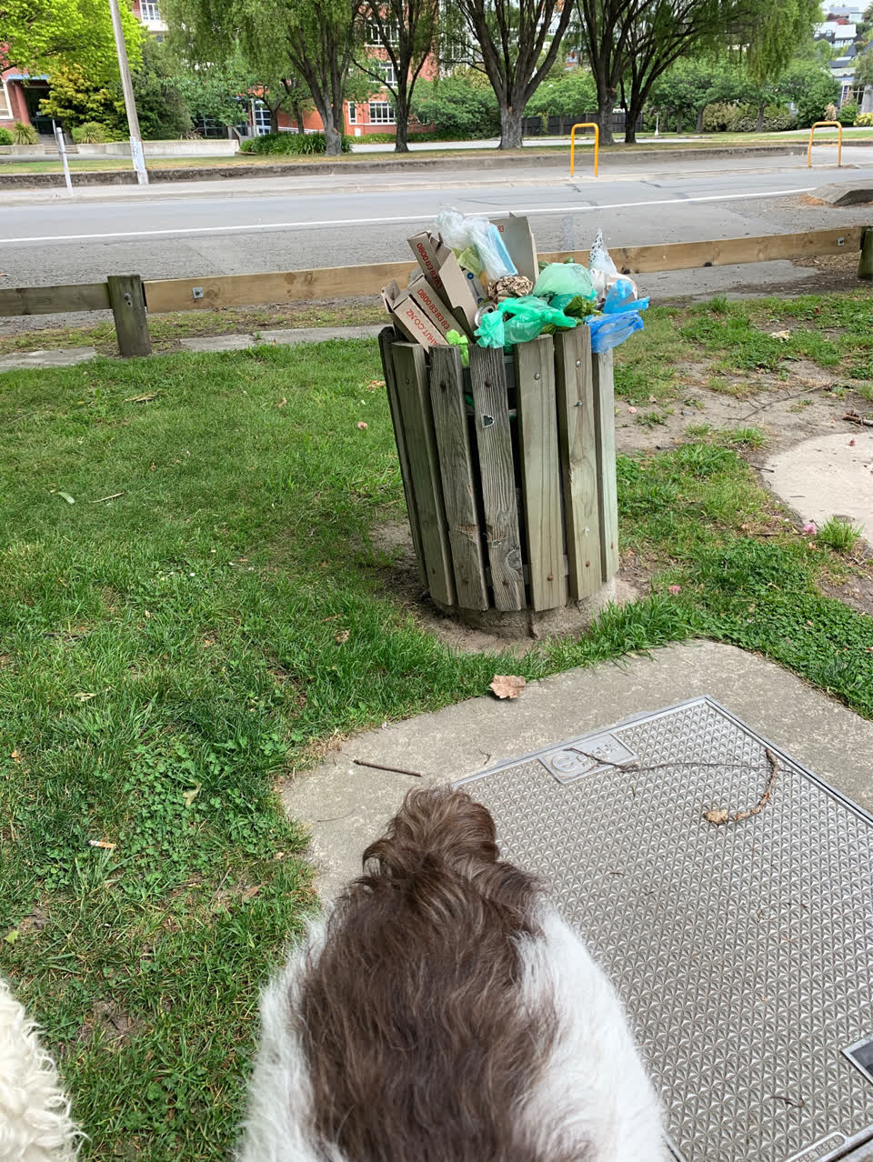 The photograph attached to this rubbish/recycling report