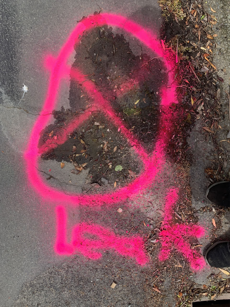 The photograph attached to this water leak report