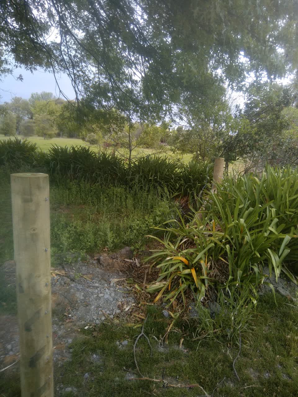 The photograph attached to this parks report