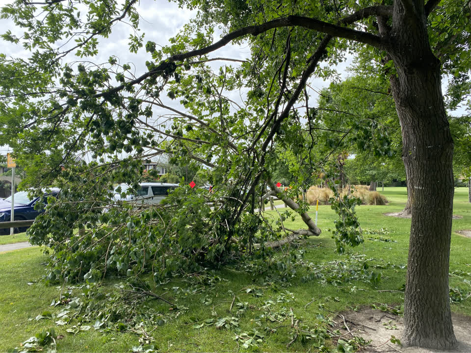 The photograph attached to this parks report