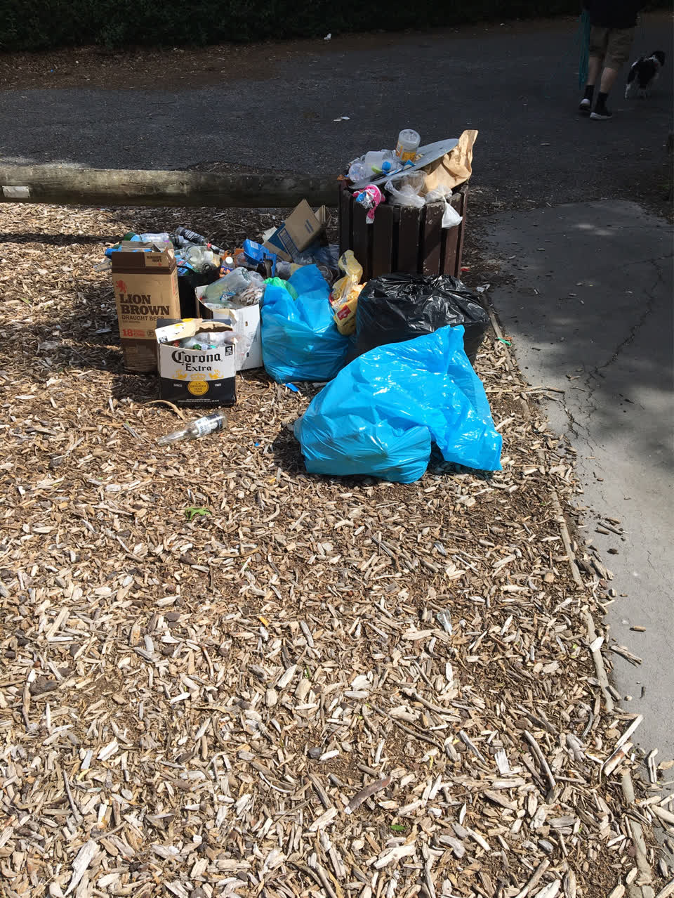 The photograph attached to this rubbish/recycling report