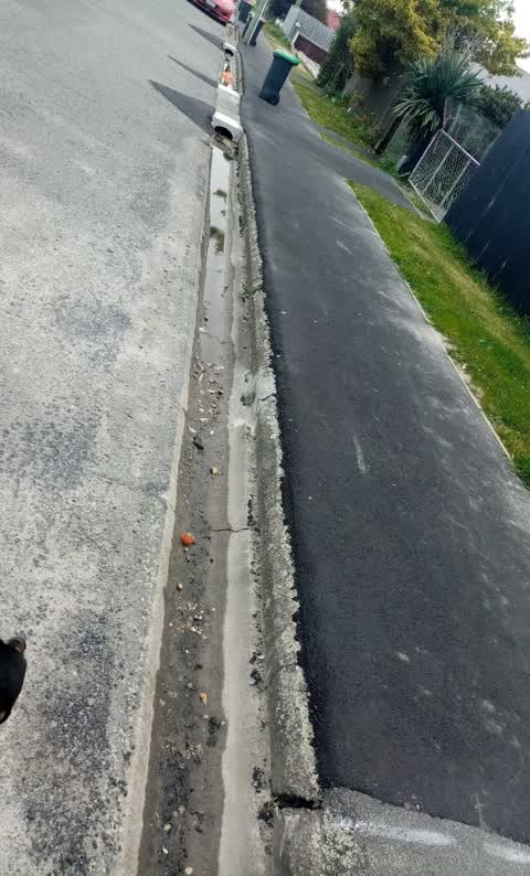 Roading/Streets, a report photo
