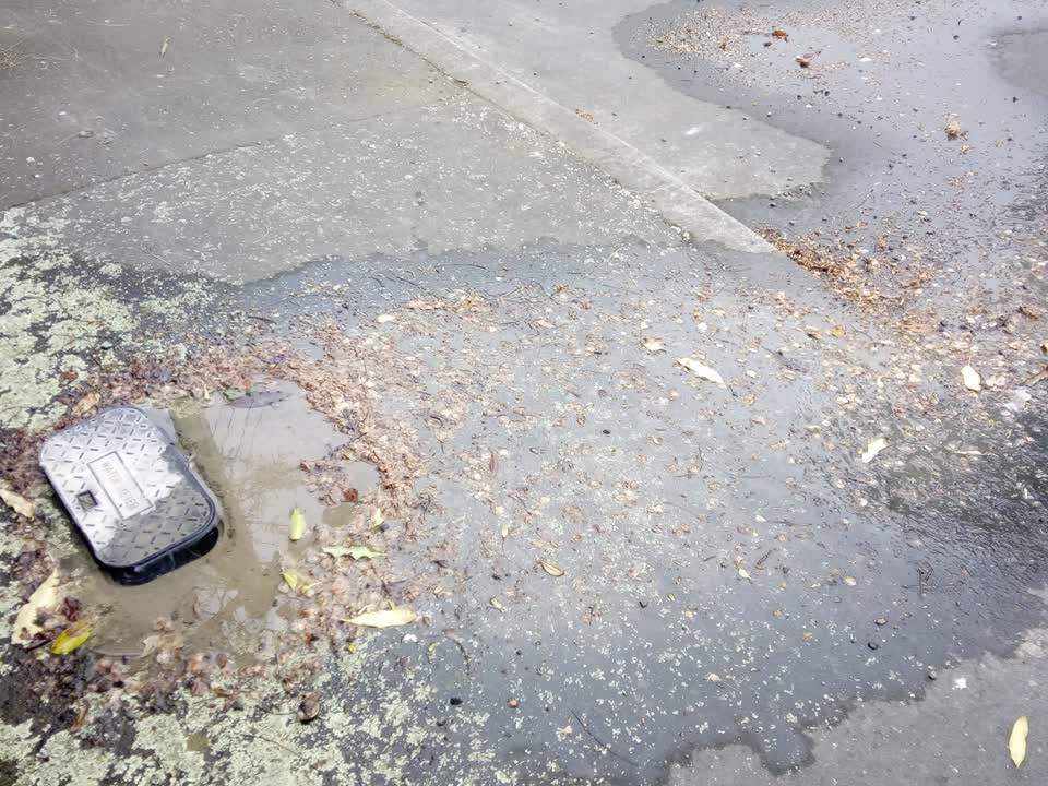 The photograph attached to this water leak report