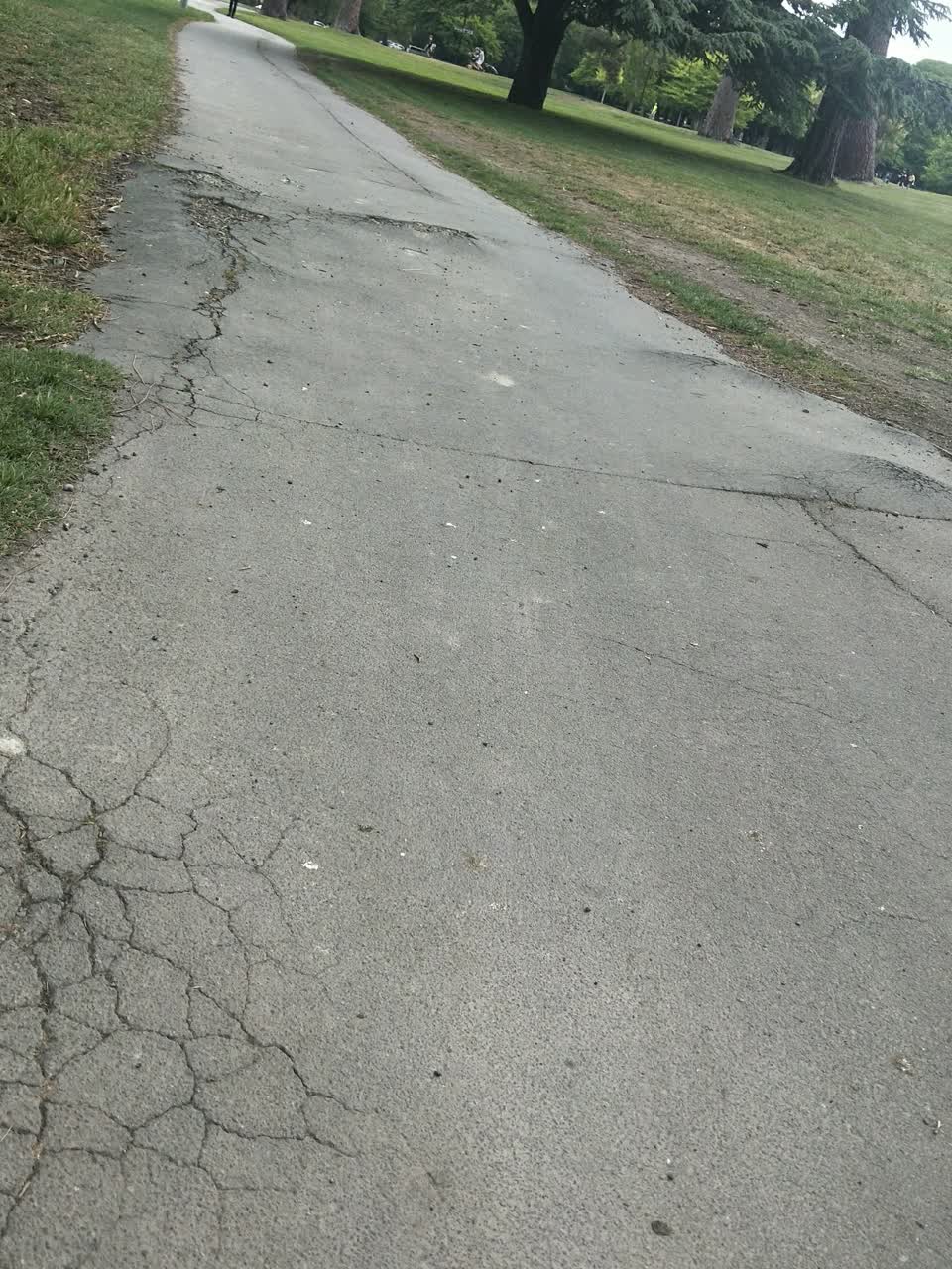 The photograph attached to this street light outage report