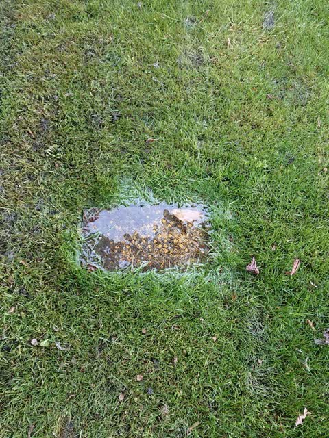 Water Leak, a report photo