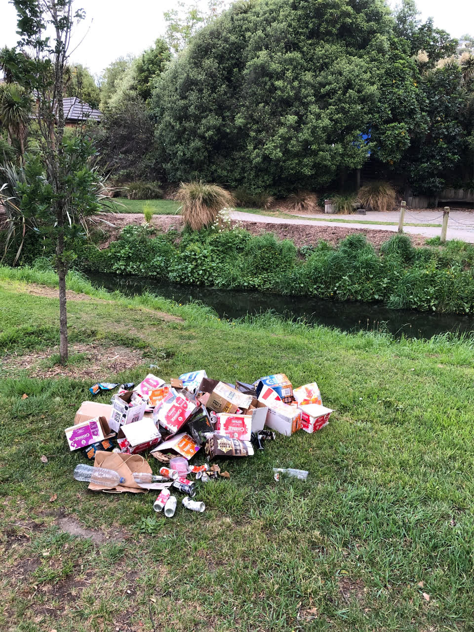 The photograph attached to this rubbish/recycling report