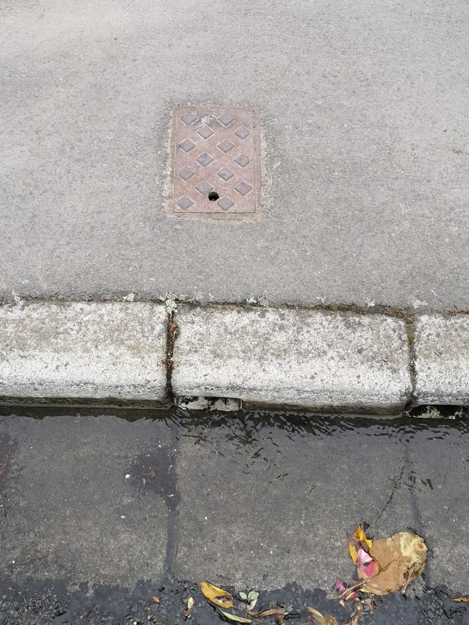 The photograph attached to this water leak report
