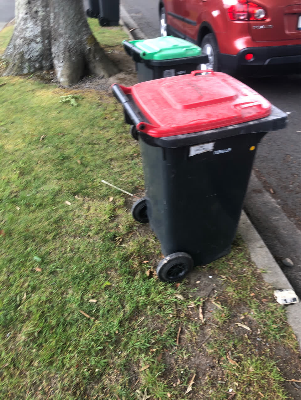 The photograph attached to this rubbish/recycling report