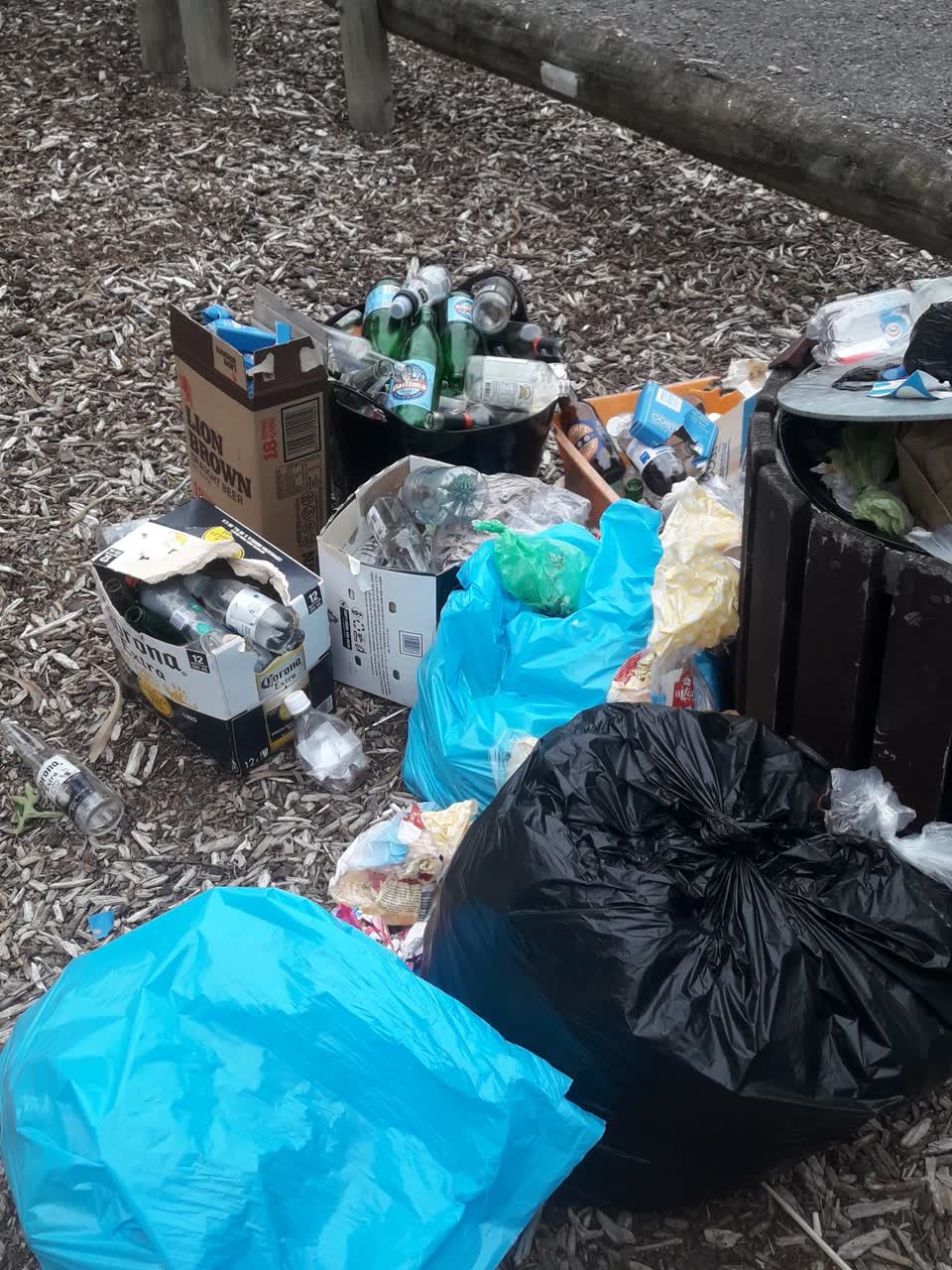 The photograph attached to this parks report