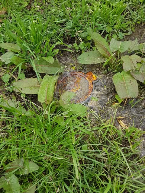 Water Leak — a report photo