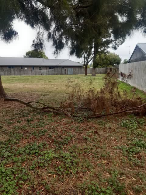 Parks, a report photo