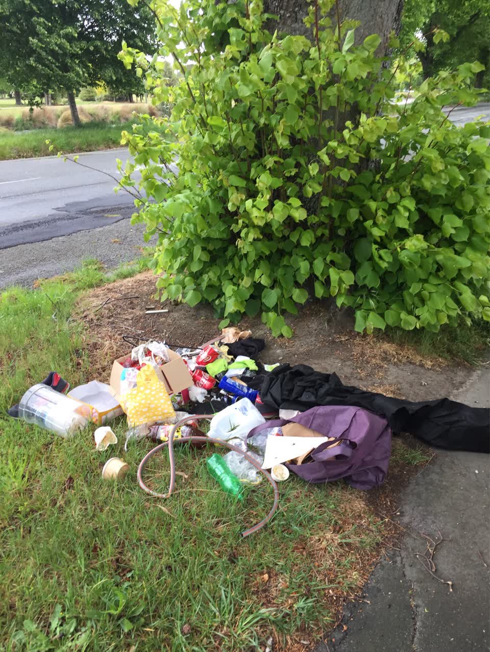 The photograph attached to this rubbish/recycling report