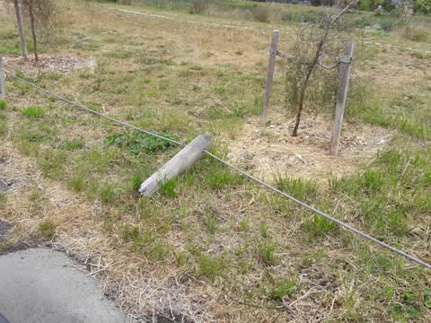 Parks, a report photo
