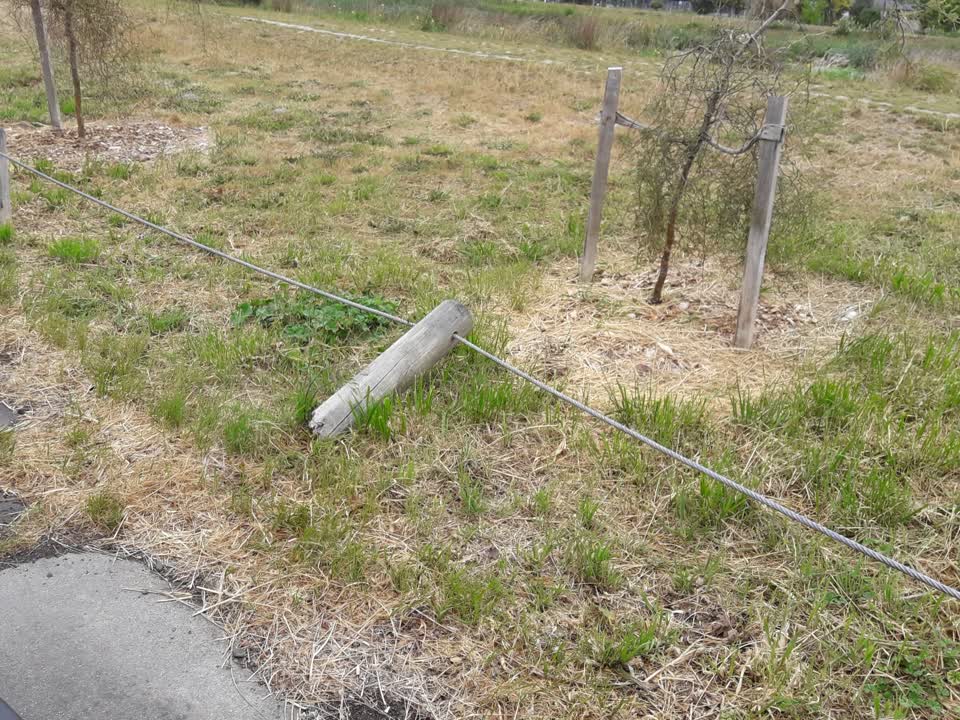 The photograph attached to this parks report