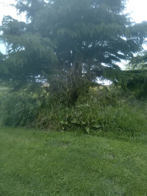 Parks, a report photo