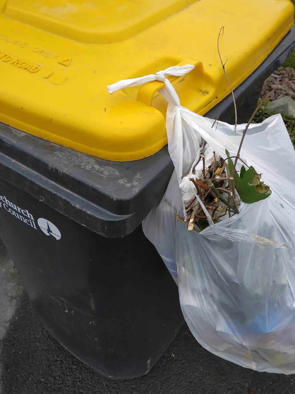 The photograph attached to this rubbish/recycling report