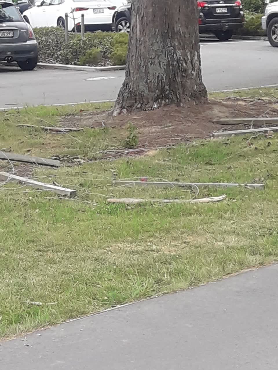 The photograph attached to this parks report