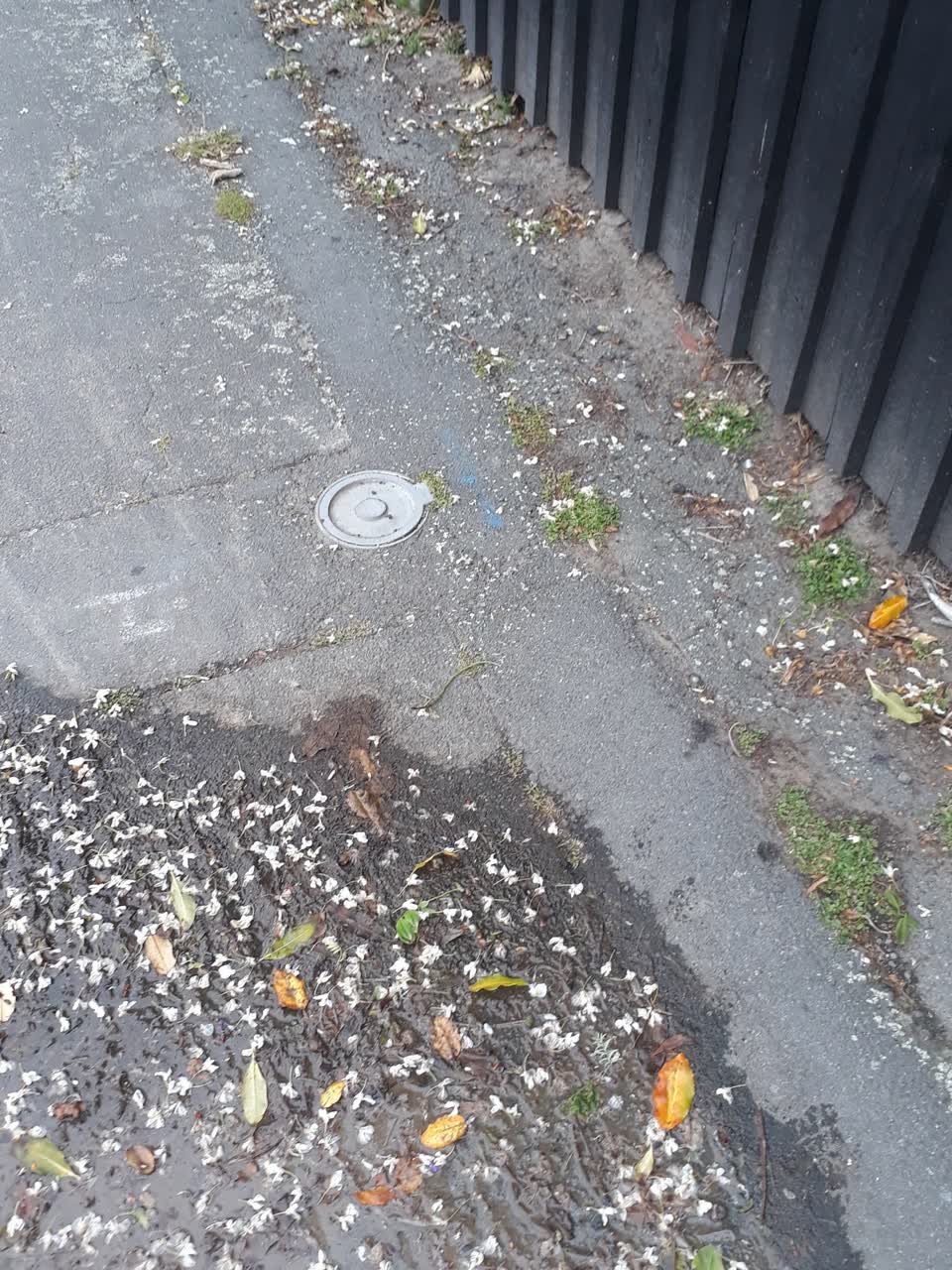 The photograph attached to this water leak report