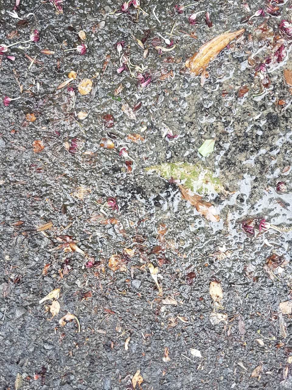 The photograph attached to this water leak report