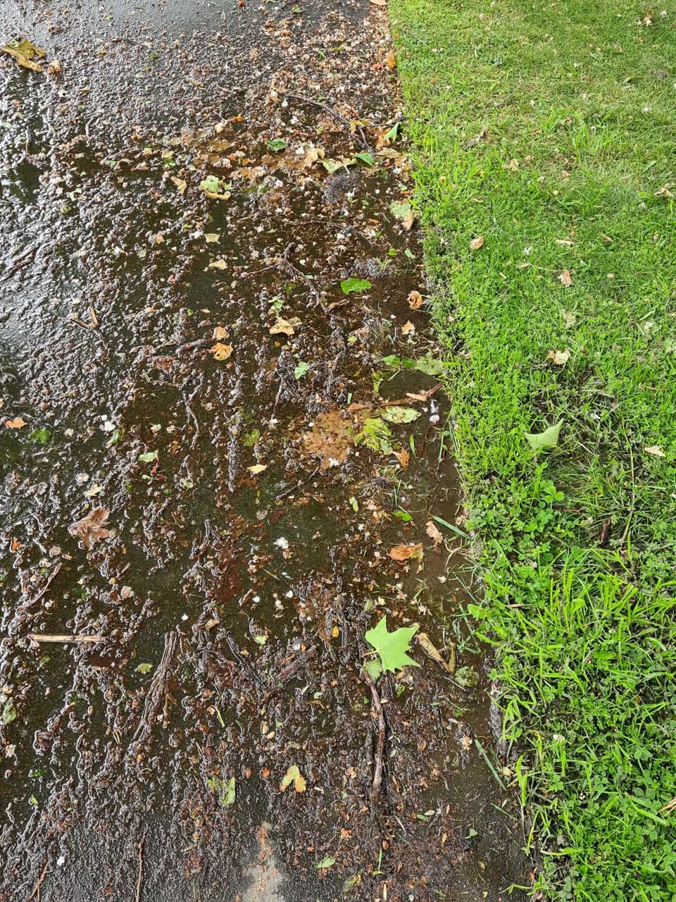 The photograph attached to this water leak report
