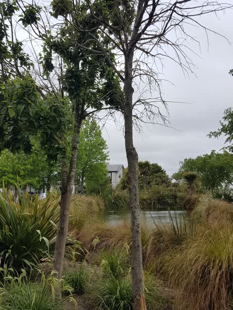 Parks, a report photo