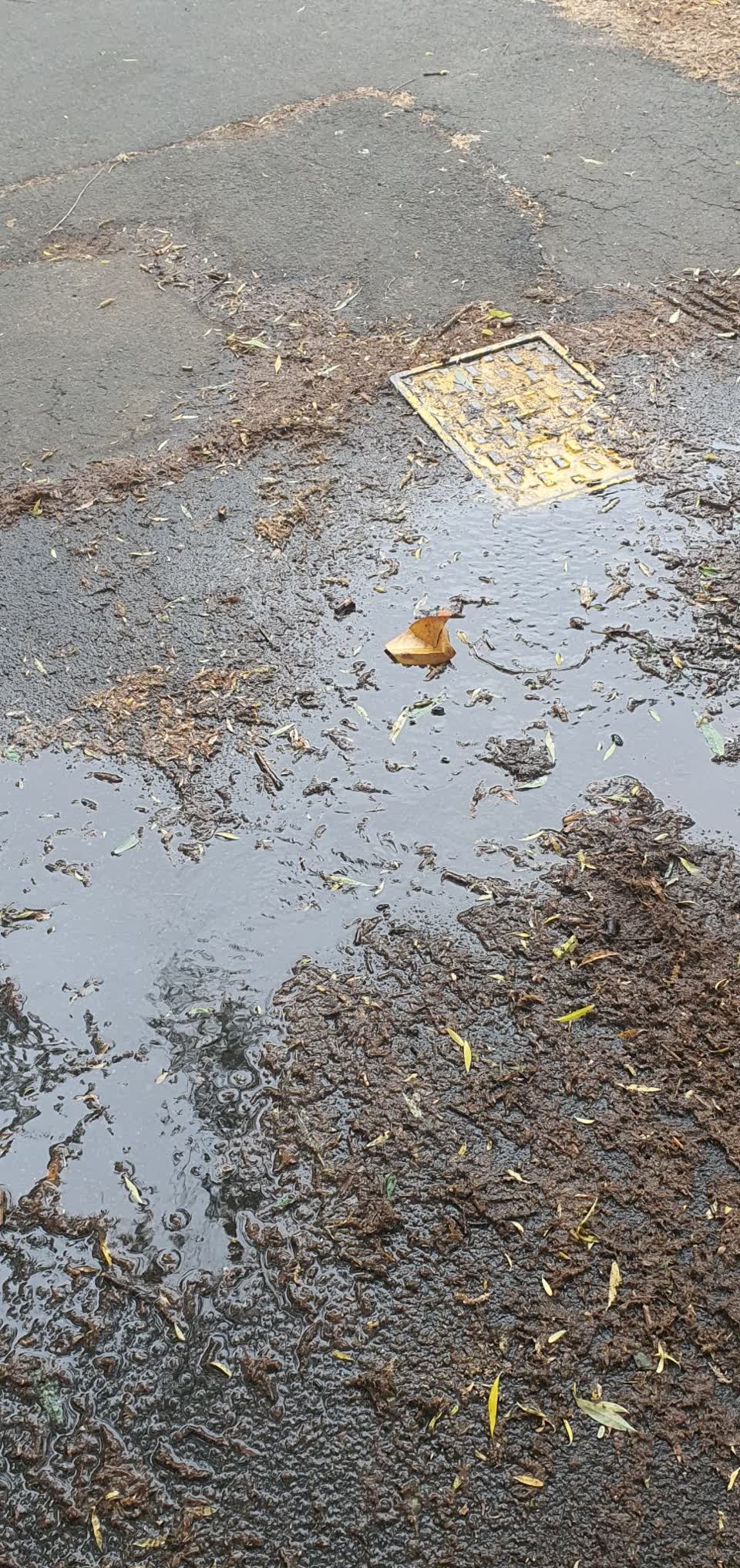 The photograph attached to this water leak report