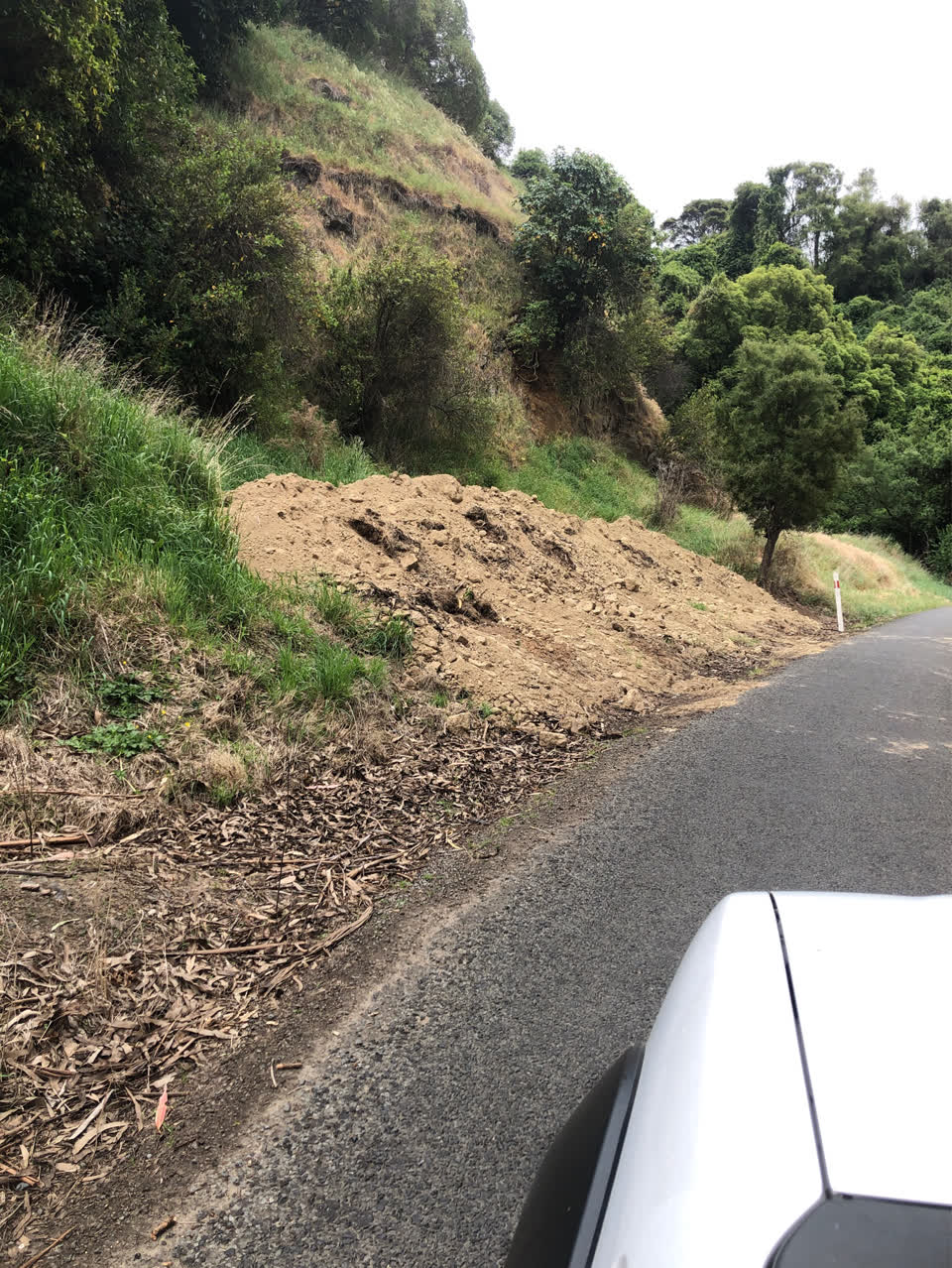 The photograph attached to this roading/streets report