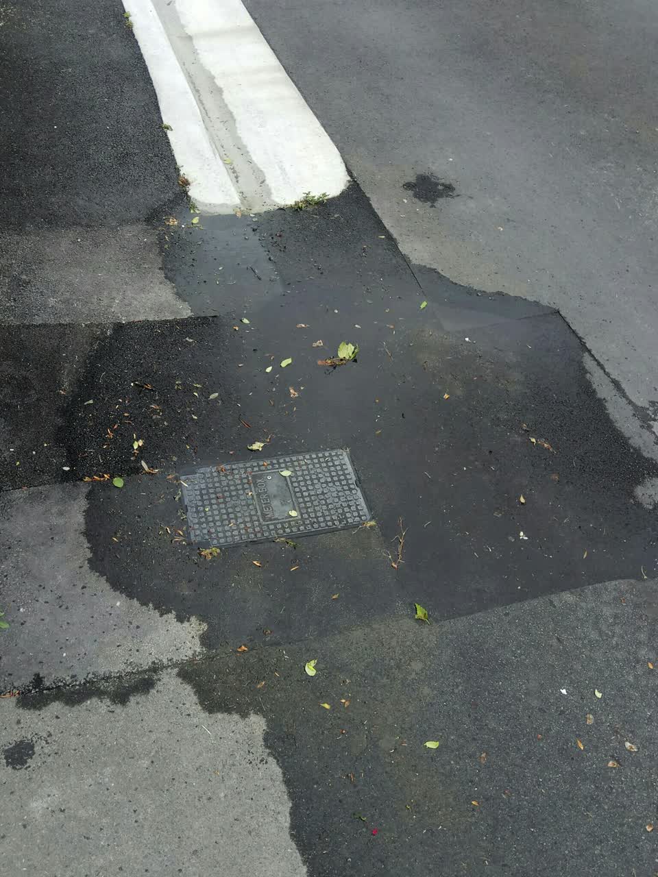 The photograph attached to this water leak report