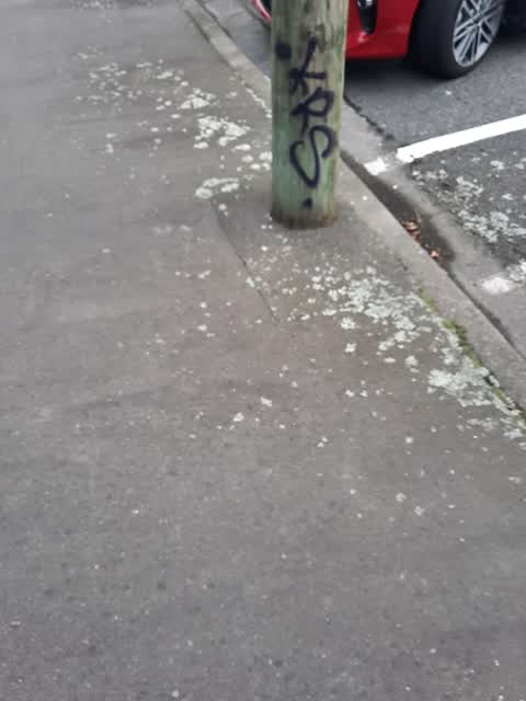 Graffiti — a report photo