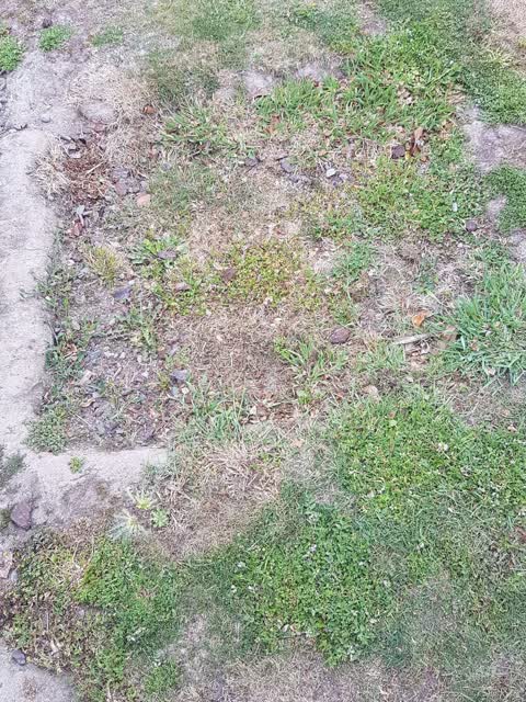 Roading/Streets, a report photo