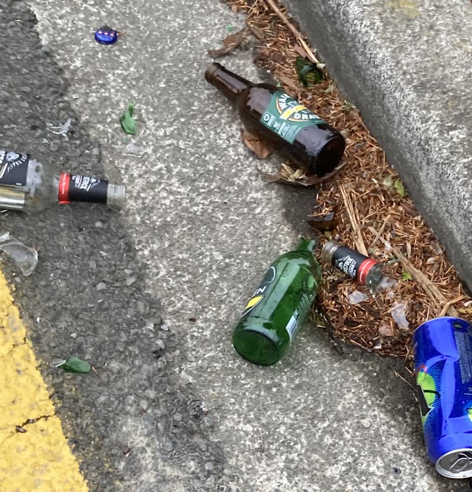The photograph attached to this rubbish/recycling report