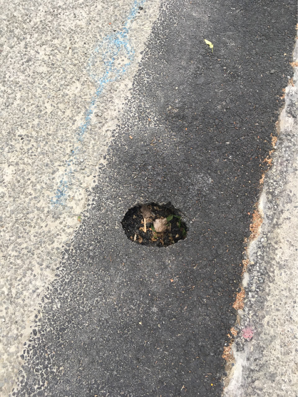 The photograph attached to this roading/streets report