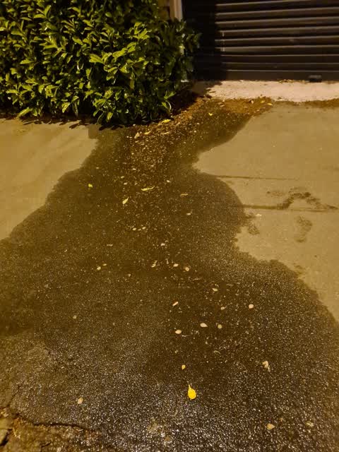 Water Leak, a report photo