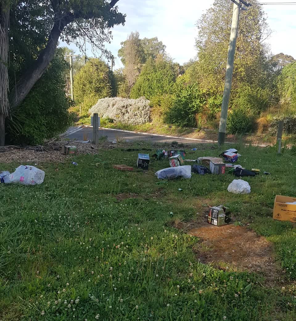 The photograph attached to this rubbish/recycling report