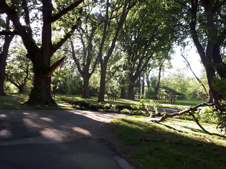 The photograph attached to this parks report