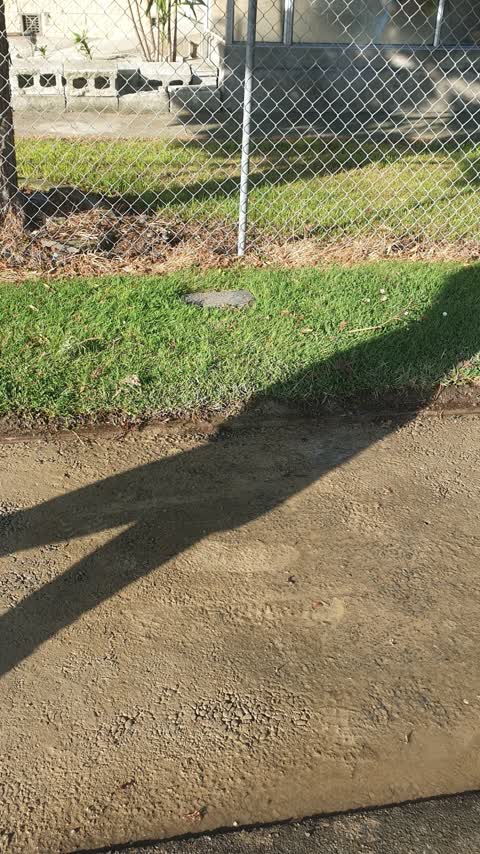 Water Leak, a report photo