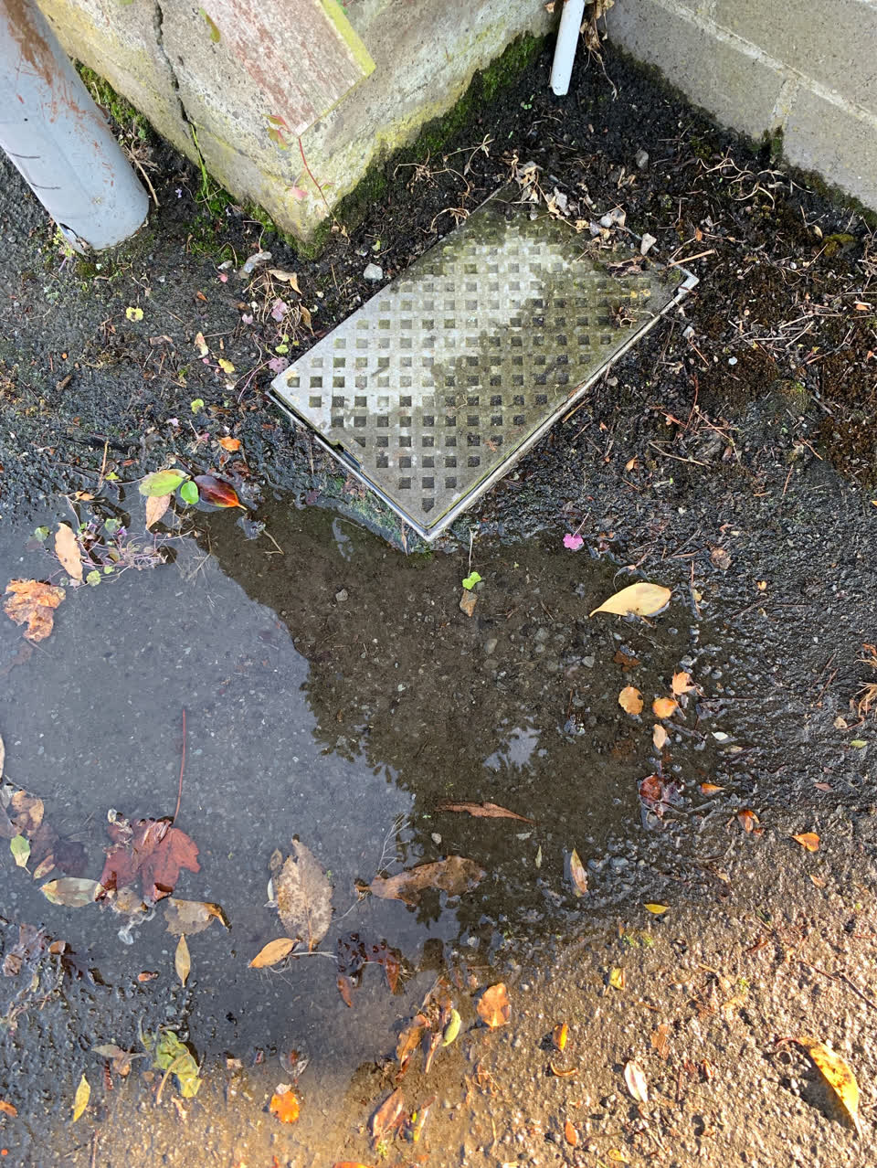 The photograph attached to this water supply report