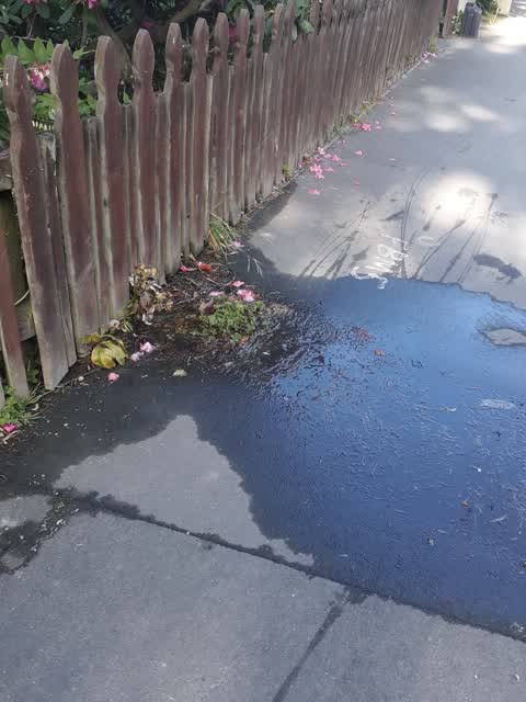 Water Leak, a report photo
