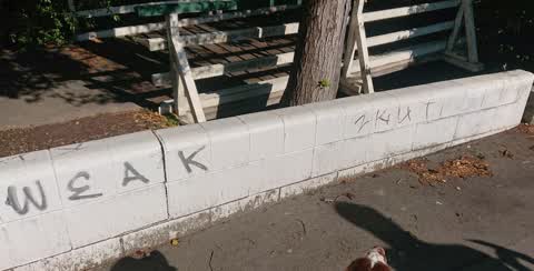 Graffiti, a report photo