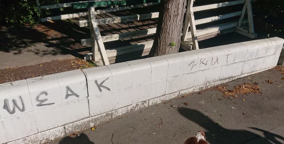 The photograph attached to this graffiti report