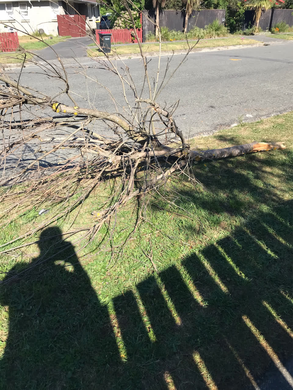 The photograph attached to this parks report