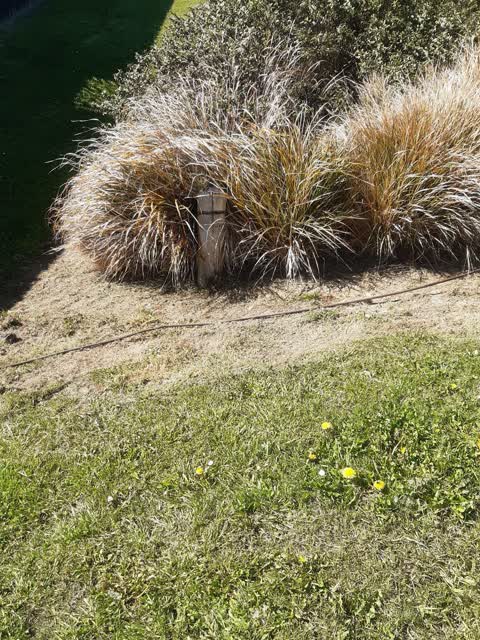 Parks, a report photo