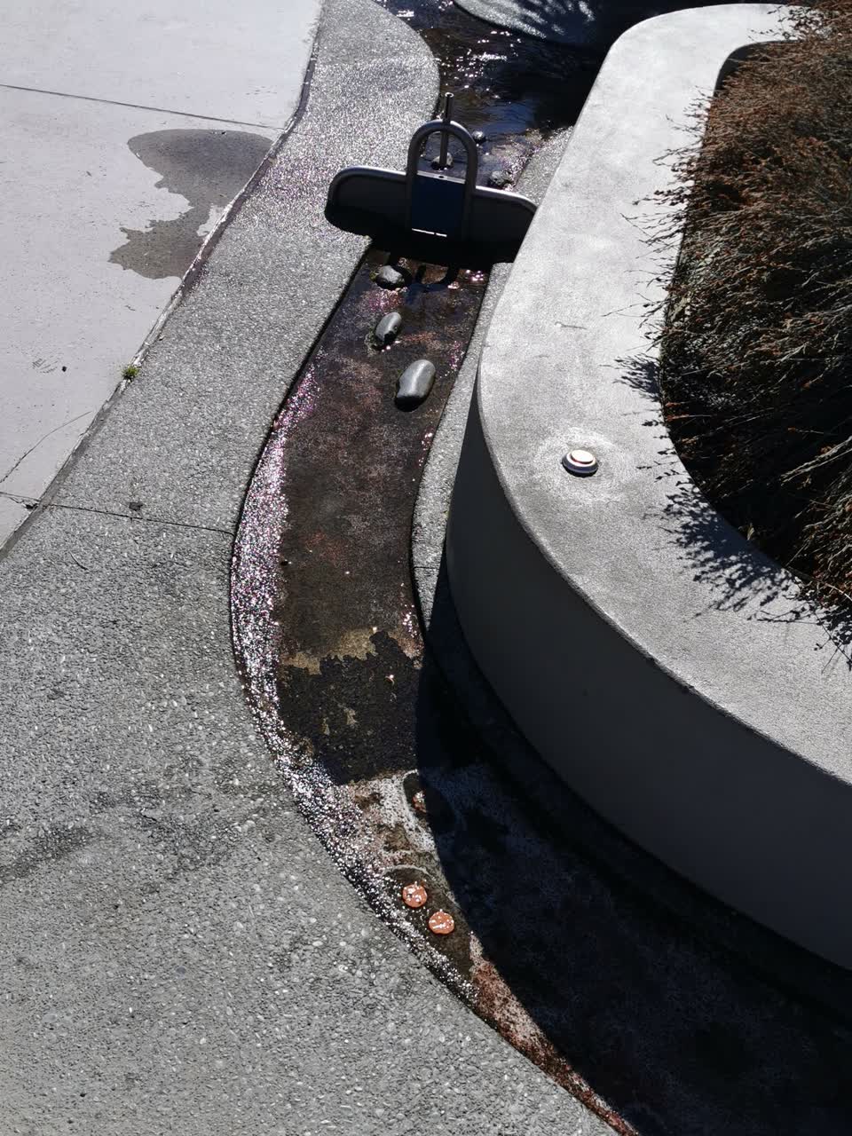 The photograph attached to this parks report