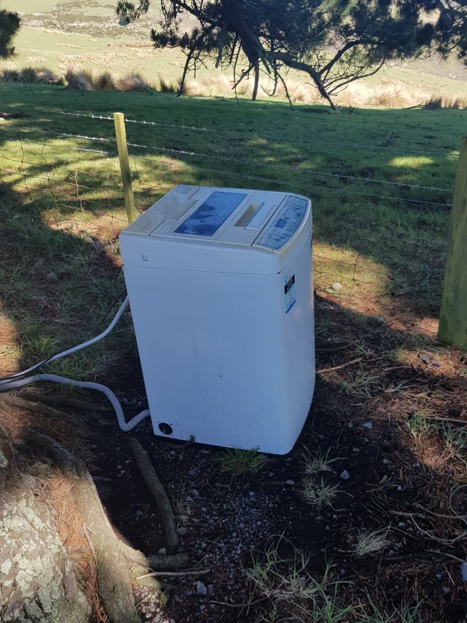 The photograph attached to this parks report