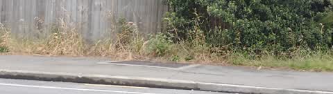 Street Light Outage, a report photo