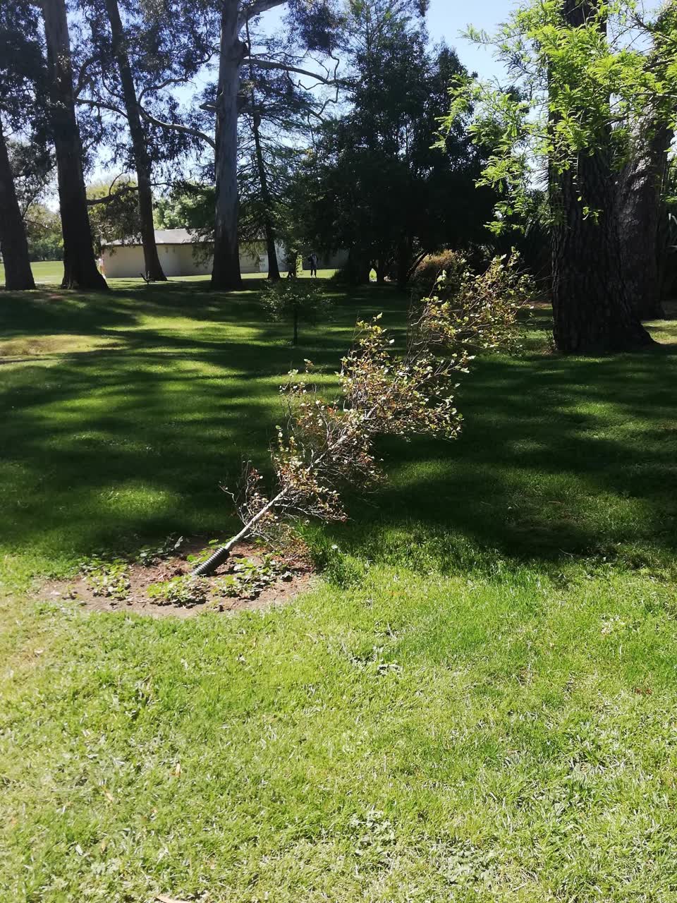 The photograph attached to this parks report