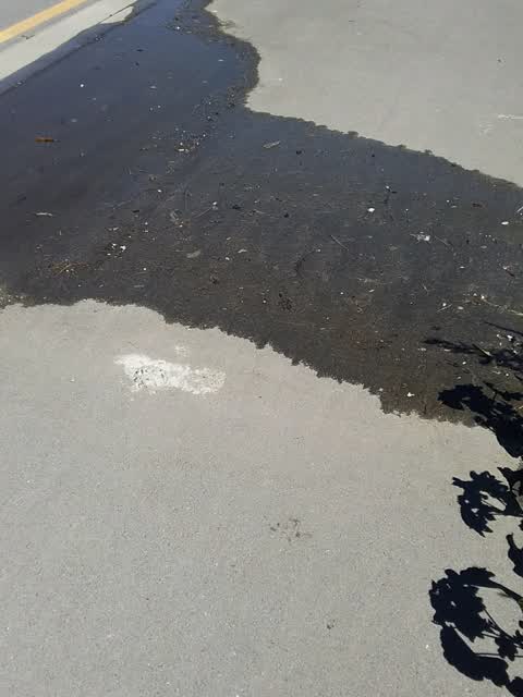 Water Leak, a report photo